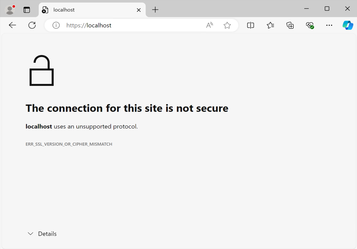 Screenshot of a browser page showing the message, the connection for this site is not secure.