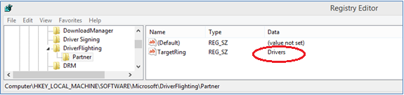 Screenshot showing the created string under the partner subkey, within the windows registry editor.