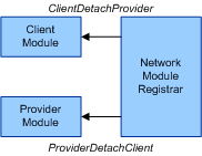 Diagram showing NMR initiating the detachment of network modules.