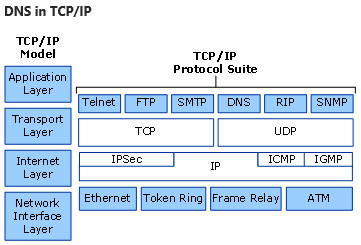 diagram znázorňující DNS v rámci modelu TCP/IP, který ukazuje, jak DNS zapadá do různých vrstev a protokolů PROTOKOLU TCP/IP.