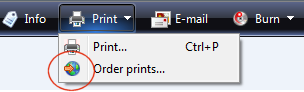 the windows vista online print wizard icon