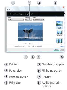 the photo print wizard on windows vista