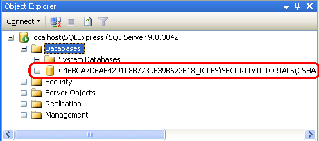 The SecurityTutorials.mdf Database Appears in the Databases Folder