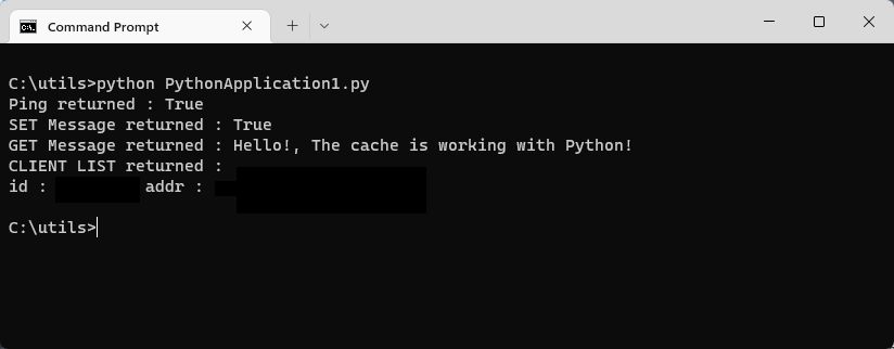 Screenshot of a terminal showing a Python script to test cache access.