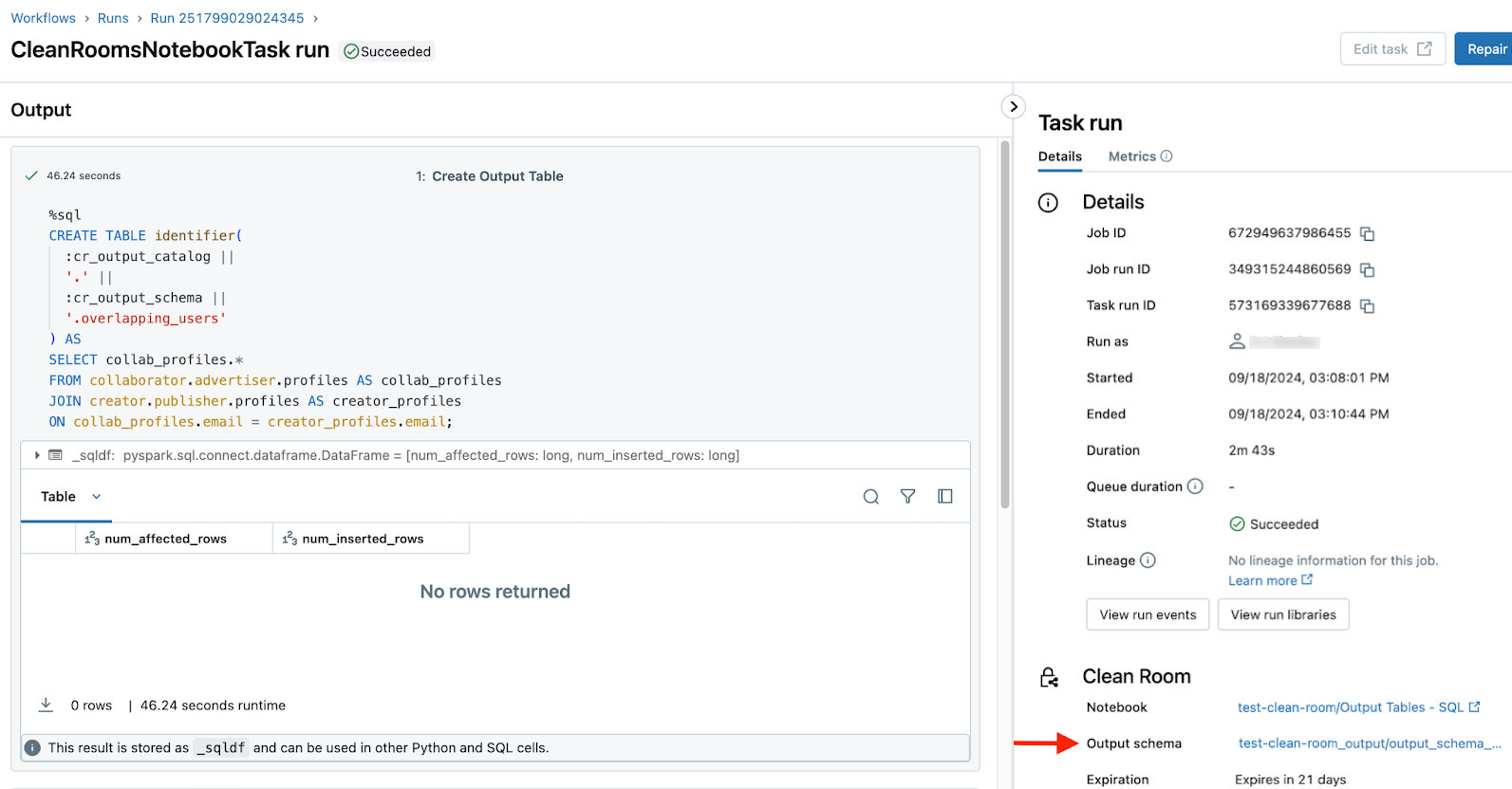 Output schema link in run details