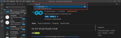 A screenshot showing how to run the Go: install/update tool from the command pallet.