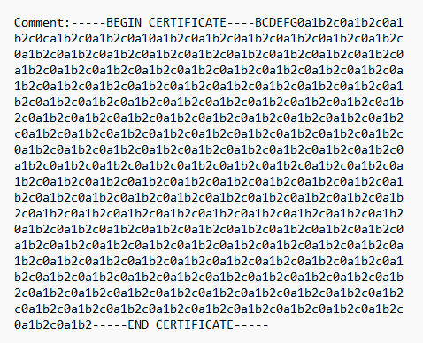 Screenshot of example certificate comment.