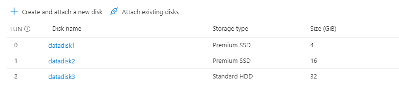 Screenshot of multiple disks shown in the portal.