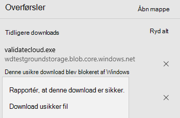 Lister downloaden som usikker, men giver mulighed for at fortsætte med overførslen