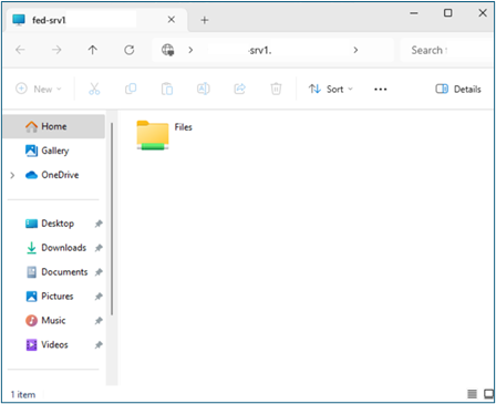 Screenshot of Windows Explorer showing connection to file share.