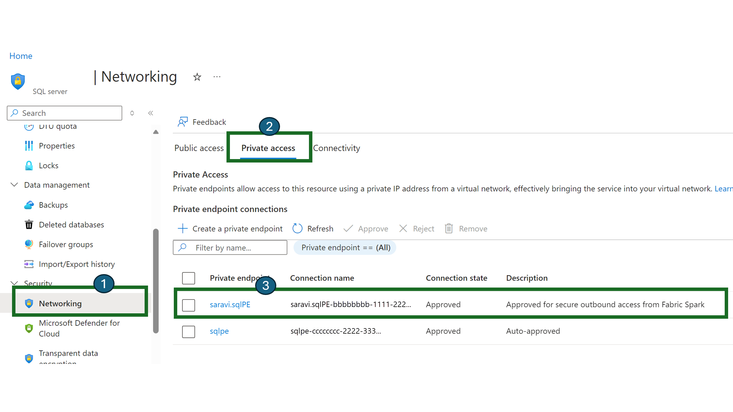 Skærmbillede, der viser fanen Privat adgang på siden Netværk for en ressource i Azure-portal.