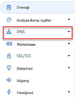 Vælg DNS.