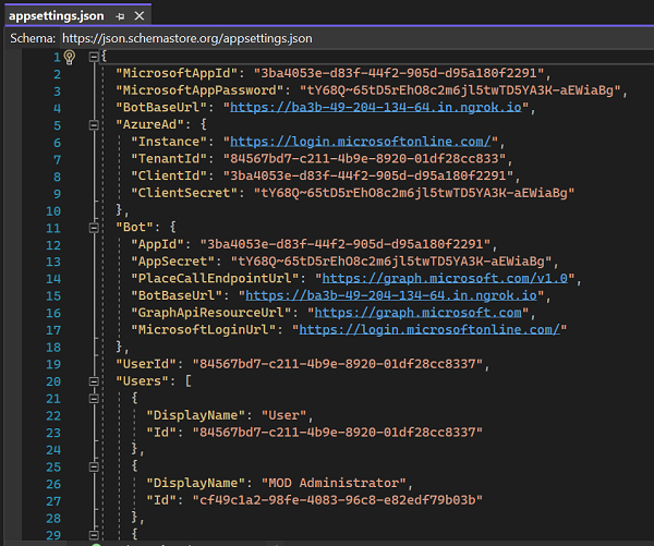 Screenshot of appsettings.json displaying the details of appsettings.