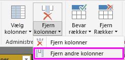 Skærmbillede, der viser kolonner, der er fremhævet med Fjern andre kolonner valgt på båndet.