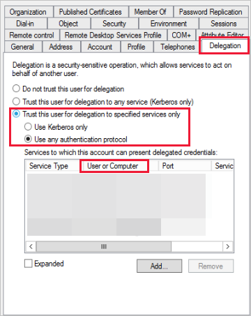 Fanen Delegering