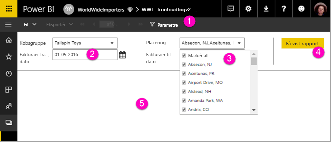 Screenshot showing View paginated report with parameters.