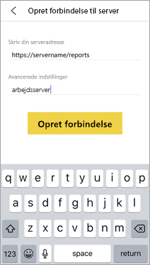 Skærmbillede af oplysninger om rapportserveren, der er udfyldt.