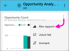 Åbn rapport