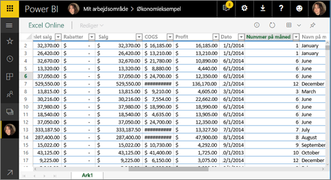 Skærmbillede, der viser Excel Online i Power BI.