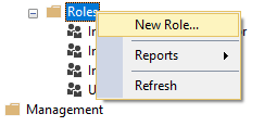 Et skærmbillede af oprettelse af en ny rolle på Analysis Services-serveren.