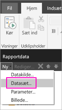 Skærmbillede af indstillingen Datasæt i ruden Rapportdata.