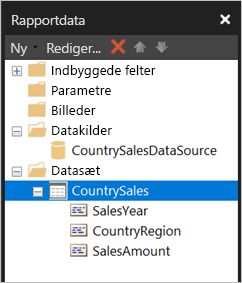 Skærmbillede af datasæt i ruden Rapportdata.