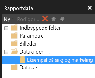 Skærmbillede af ruden Rapportdata med det datasæt, der er angivet under Datakilder.