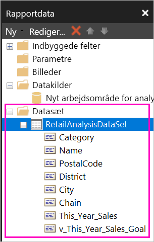 Skærmbillede af de felter, der er angivet under datasættet i ruden Rapportdata.