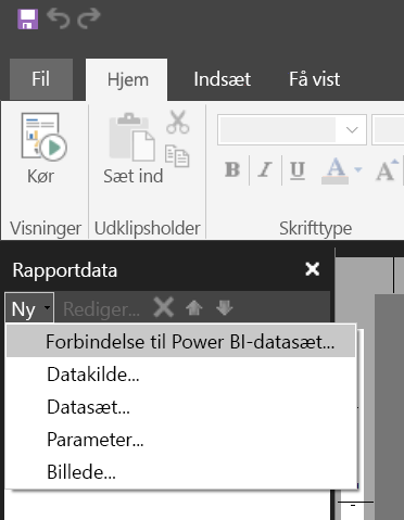 Skærmbillede af nyt datasæt i ruden Rapportdata.