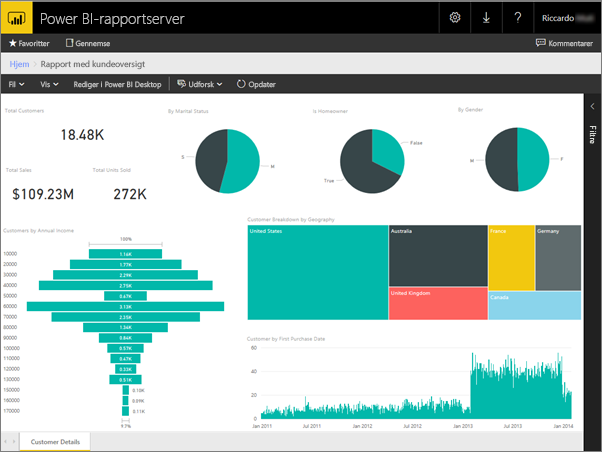 Power BI report in the web portal