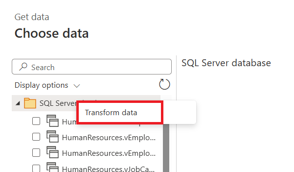 Skærmbillede af valg af data, hvor brugeren har højreklikket på databasenoden i navigatoren, hvor Transformér data er fremhævet.