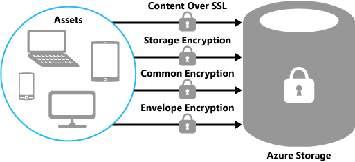 The options for protecting media when at rest and in transit