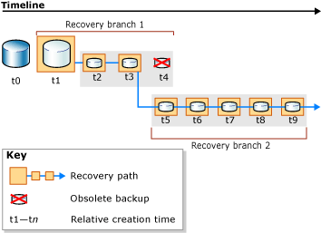 New recovery path