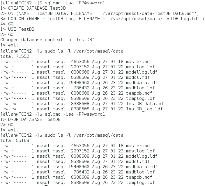 Screenshot showing how to create the test database.