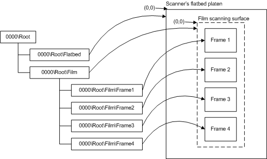 diagram illustrating the item tree of a flatbed film scanner with platen-only scanning.