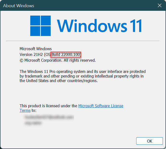 The About Windows module that pops up from running the winver command, highlighting the Build 22000.100 the device is on.