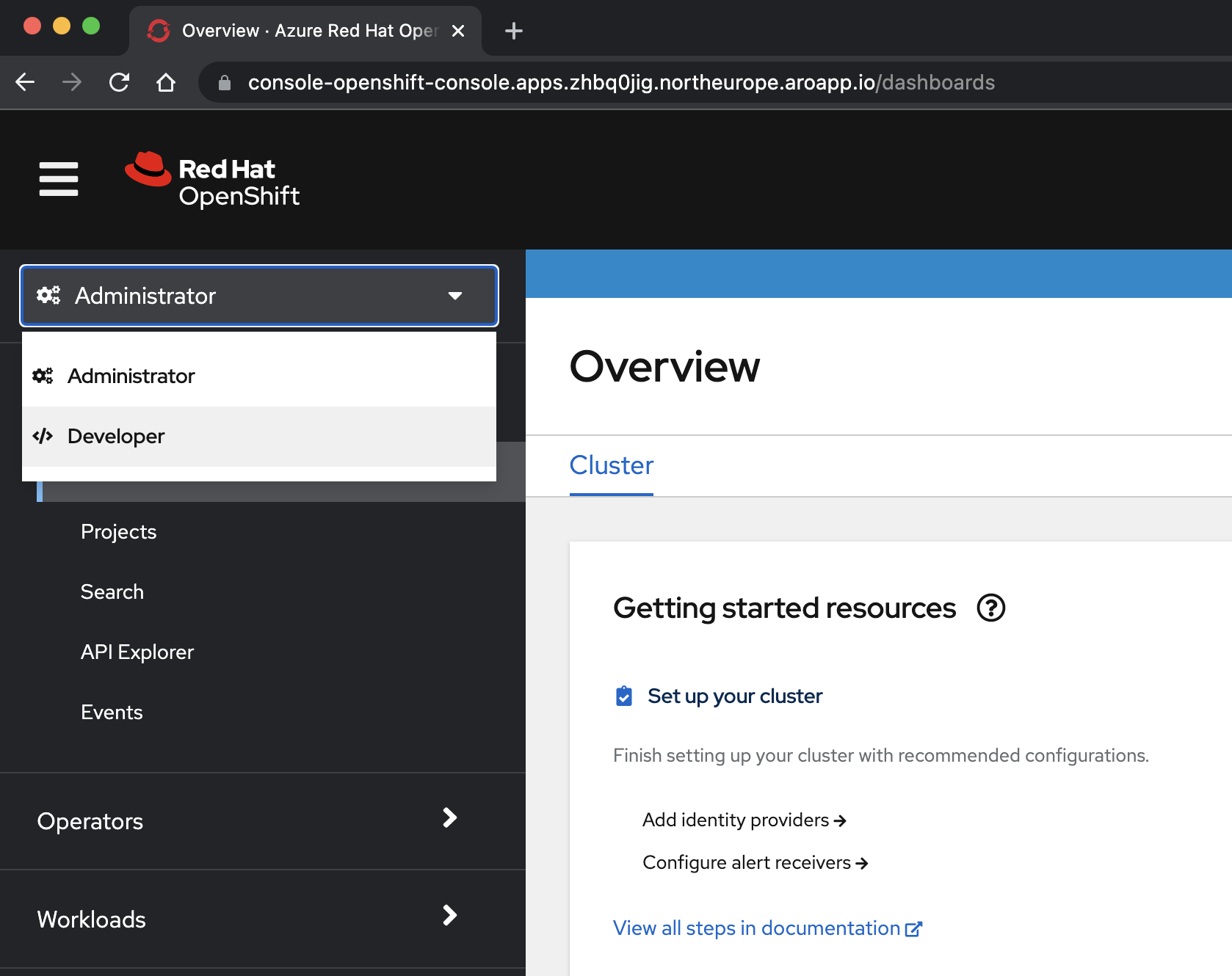 Screenshot: Entwickleransicht der OpenShift-Konsole