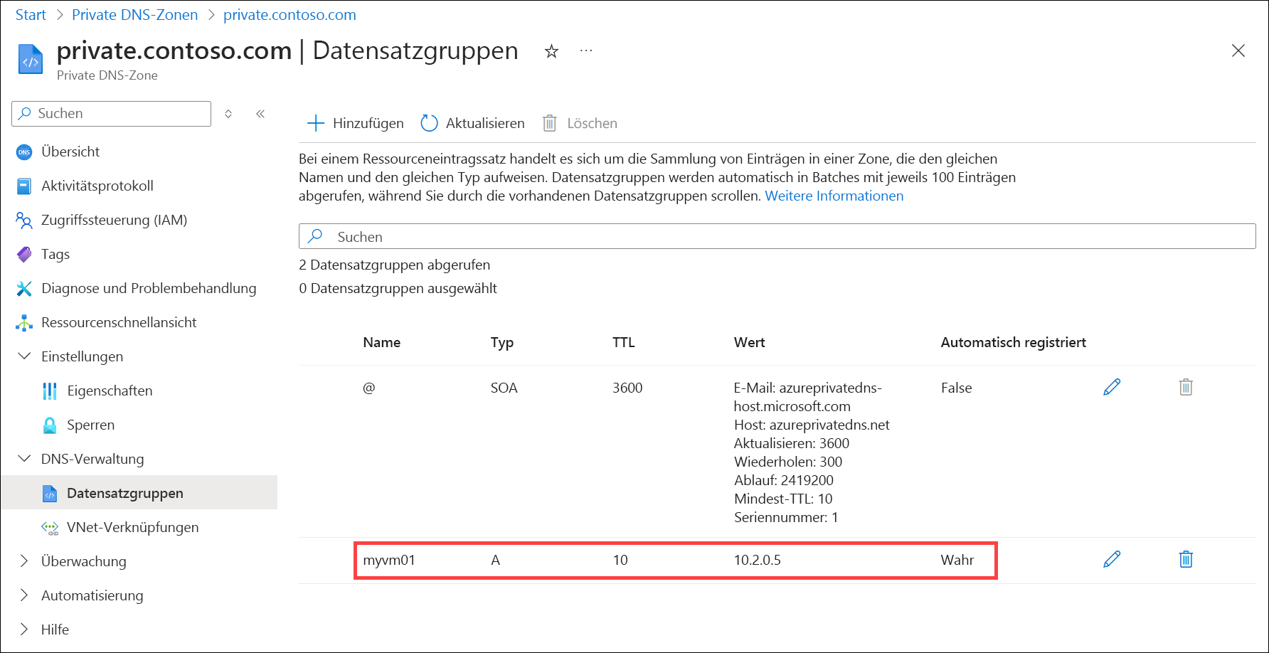 Screenshot: automatisch registrierter DNS-Eintrag