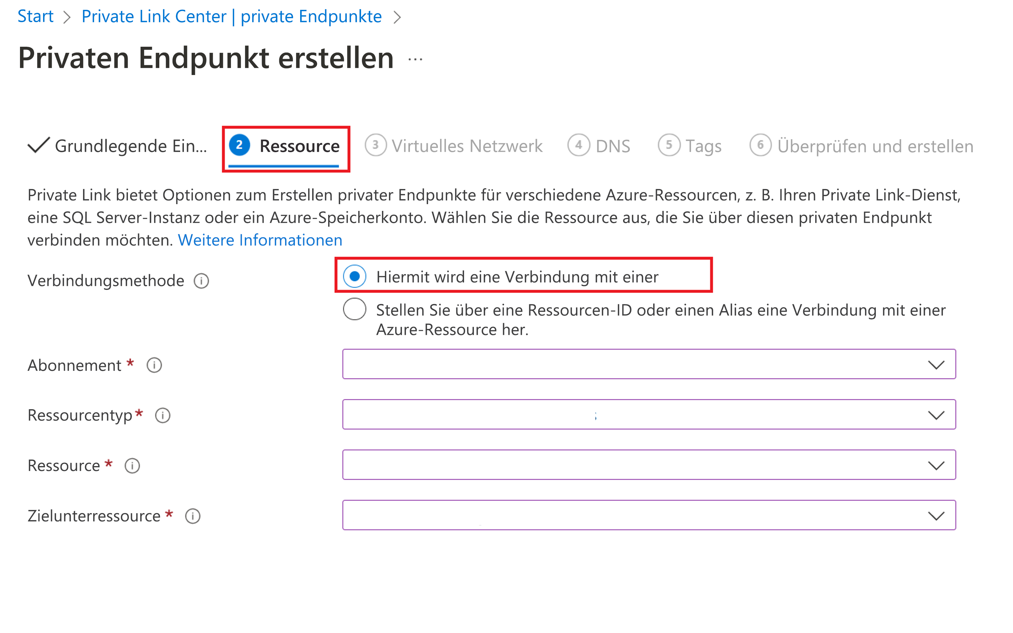 Screenshot der Registerkarte „Ressource“ für das Herstellen von Verknüpfungen zu einem privaten Endpunkt