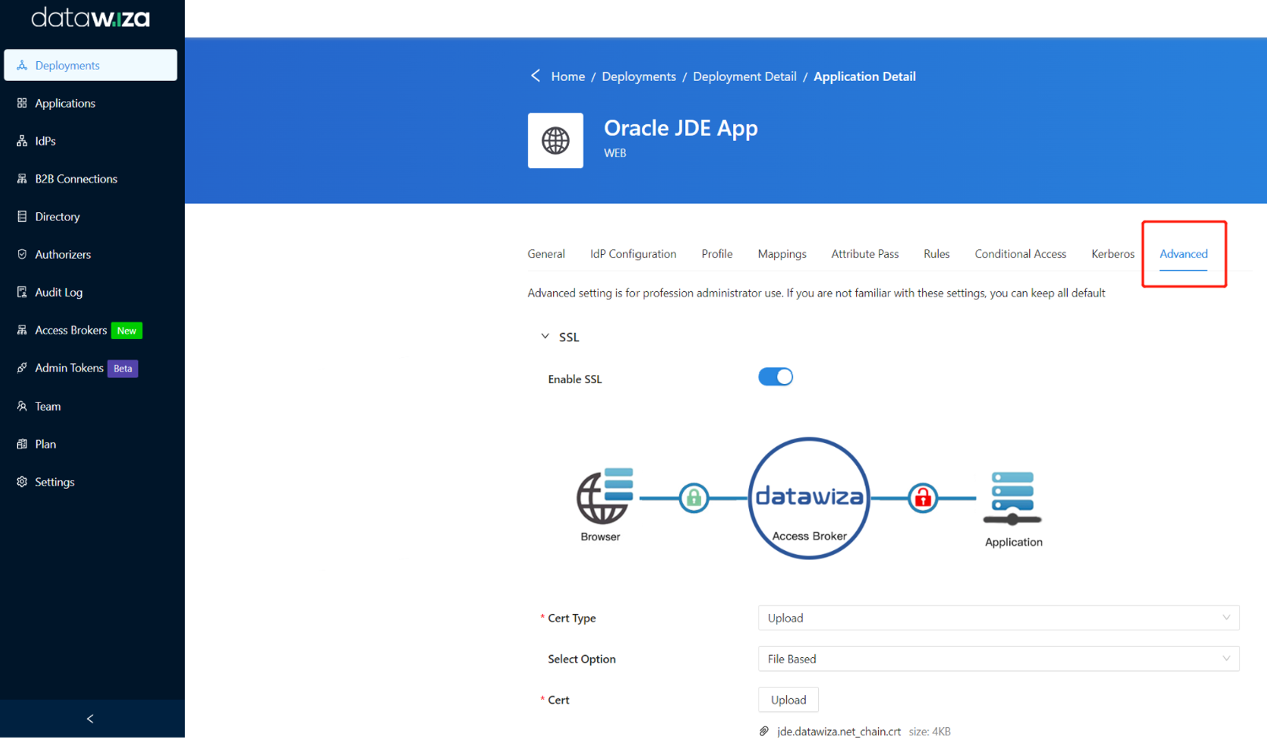 Screenshot der Informationen auf der Registerkarte „Advanced“ (Erweitert)