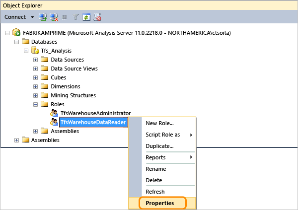 Open Tfs_Analysis data reader role properties