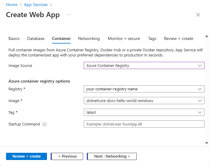 Screenshot der Azure Container Registry-Optionen.