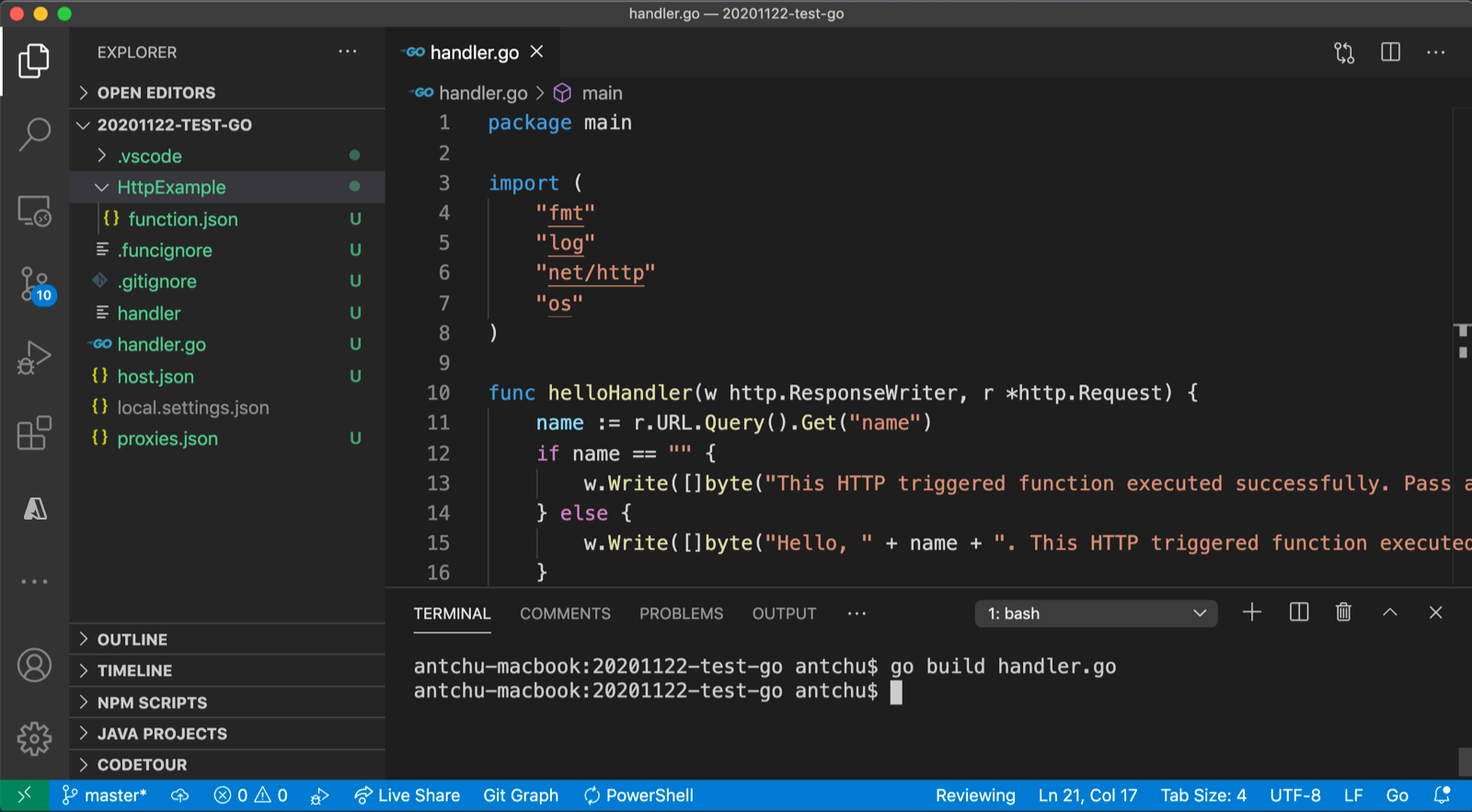 VS Code: Kompilieren eines benutzerdefinierten Go-Handlers