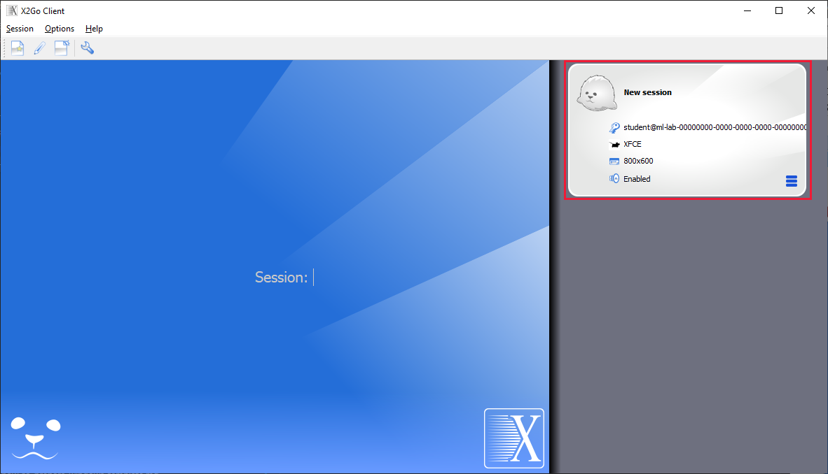 Screenshot: Mit X2Go gespeicherte Sitzung.