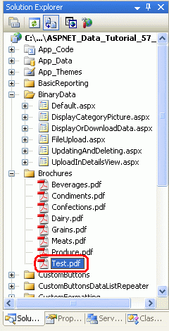 Die Test.pdf-Datei wurde nicht aus dem Dateisystem des Webservers gelöscht.