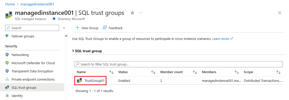 Screenshot der Seite „SQL-Vertrauensgruppen“ mit einer hervorgehobenen Gruppe.