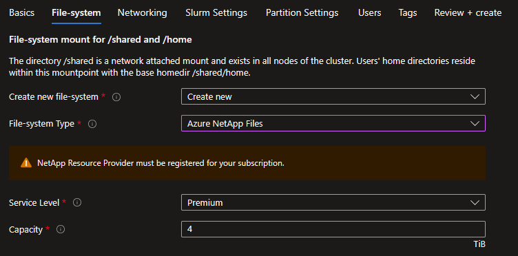 Screenshot der Datei-System-Bereitstellung für /shared- und /home Azure NetApp-Dateien erstellen neue Optionen bildschirm