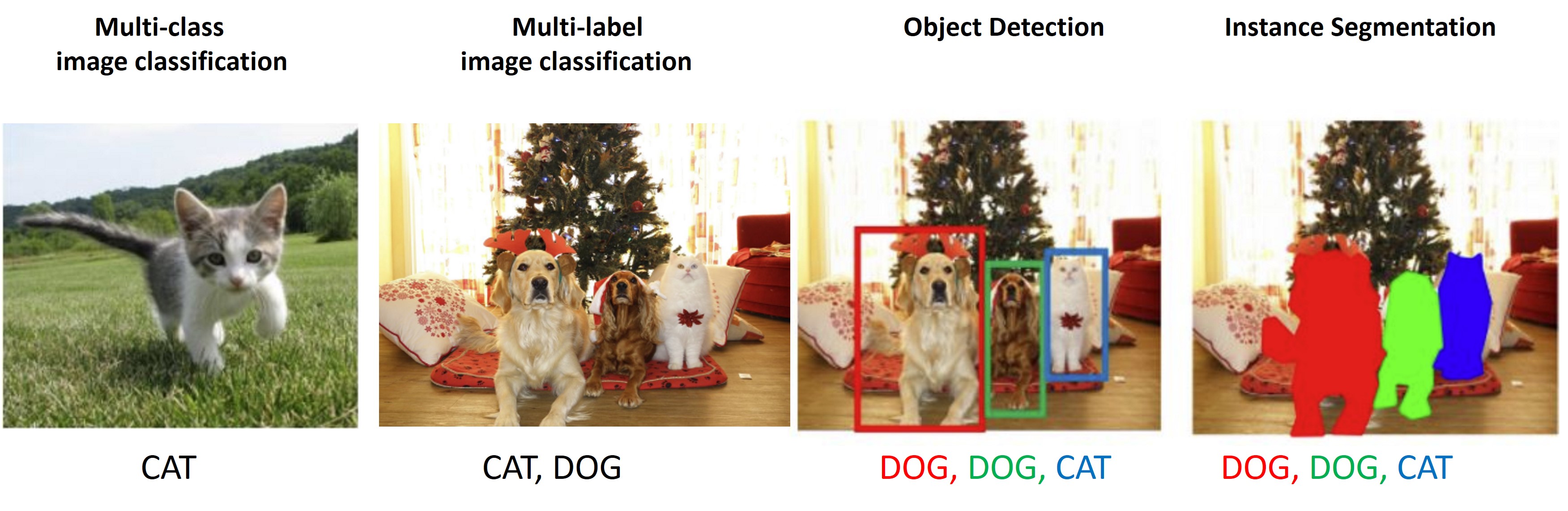 Computer vision tasks examples. Image from: http://cs231n.stanford.edu/slides/2021/lecture_15.pdf