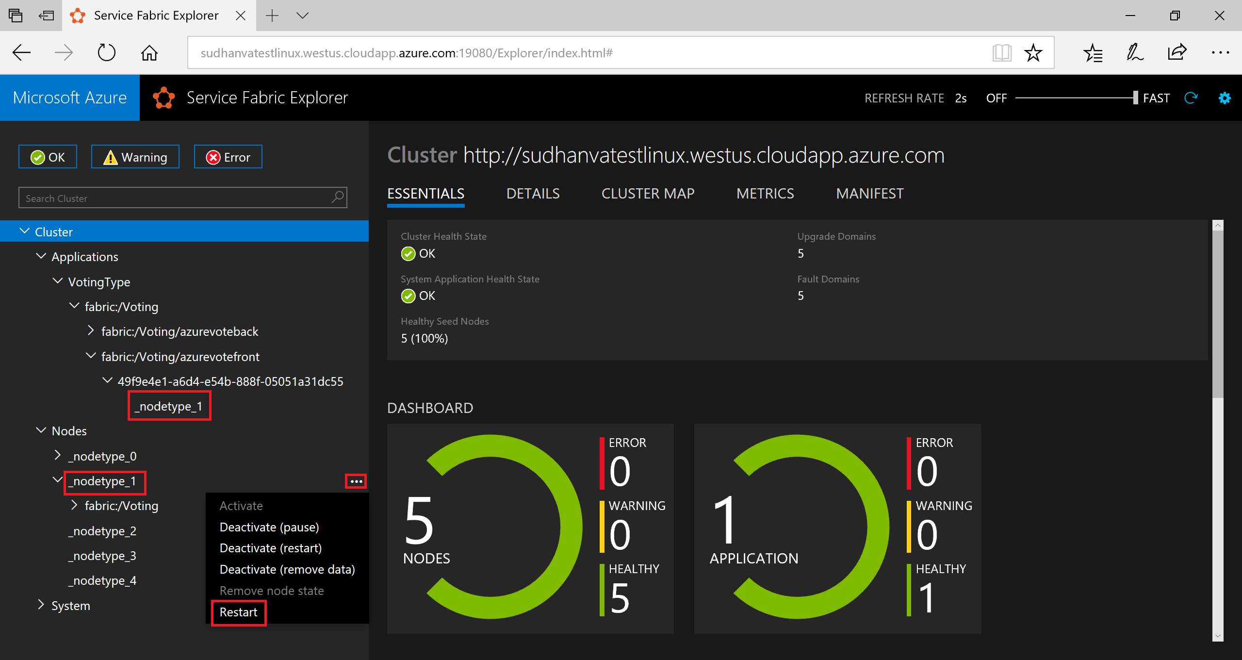 Knotenansicht in Service Fabric Explorer