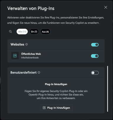 Screenshot des benutzerdefinierten Abschnitts des Plug-Ins.